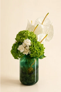 Tropical Essence - Signature