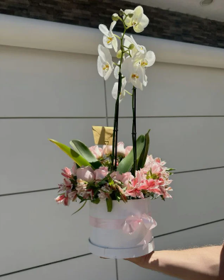 Prestige Paris - Orchid