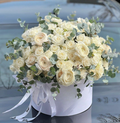Pure Elegance – Big