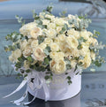 Pure Elegance – Big