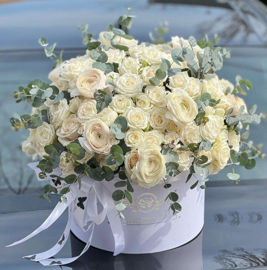 Pure Elegance – Big